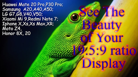 The Beauty of Your 19.5:9 ratio Display